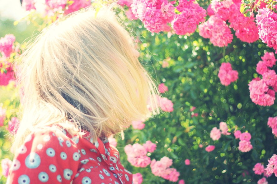 E' stalking il corteggiamento pressante e i fiori non graditi